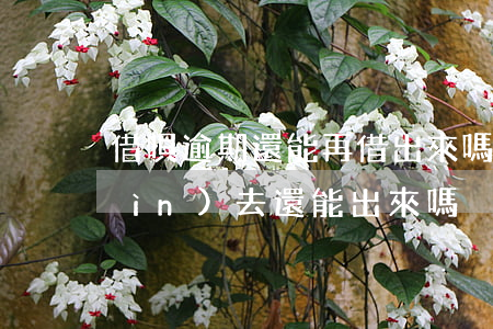 借唄逾期還能再借出來嗎(借唄逾期還進(jìn)去還能出來嗎)