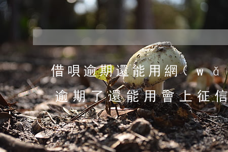 借唄逾期還能用網(wǎng)貸嗎-借唄逾期了還能用,會上征信嗎