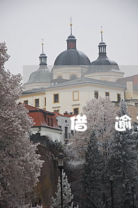 借唄逾期還能辦信用卡嗎(信用卡可還借唄嗎)