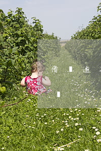 借唄逾期還能開通嗎-借唄逾期過還能開通嗎