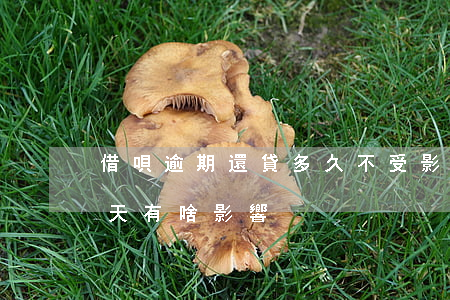 借唄逾期還貸多久不受影響(借唄逾期還款幾天有啥影響)