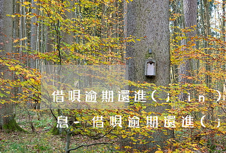 借唄逾期還進(jìn)去的是本金還是利息-借唄逾期還進(jìn)去的是本金還是利息呢