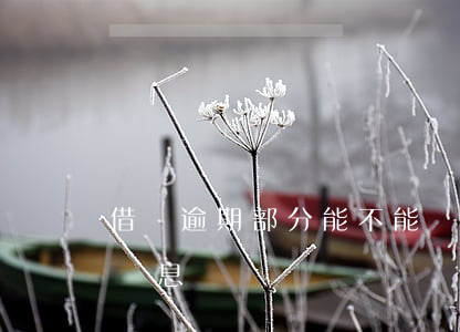 借唄逾期部分能不能減免(借唄逾期后能減免罰息嗎)