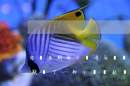 借唄逾期部分還清后還會被起訴嗎-借唄逾期還了一部分還會起訴嗎