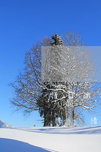 借唄逾期郵政打電話叫我收掛號(hào)信-借唄逾期郵政打電話叫我收律師掛號(hào)信真的假的