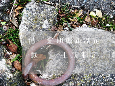 借唄逾期重新制定還款方案(借唄逾期剩余還款計劃重新制定還款方案)