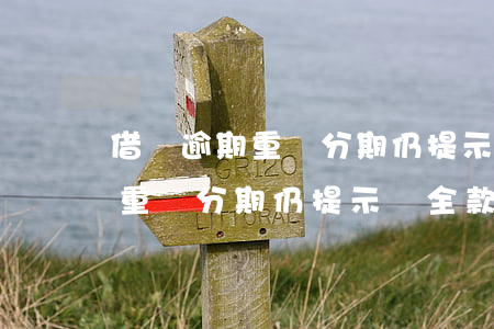 借唄逾期重組分期仍提示還全款-借唄逾期重組分期仍提示還全款怎么辦