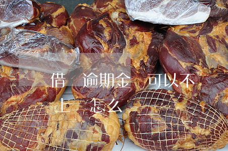 借唄逾期金額可以不還嗎(借唄的錢逾期還不上會怎么樣)