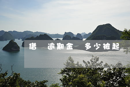 借唄逾期金額多少被起訴