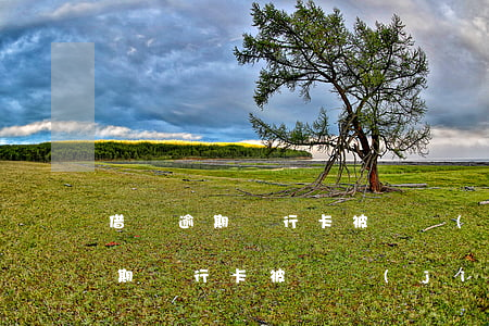 借唄逾期銀行卡被凍結(jié)了(借唄逾期銀行卡被凍結(jié)了怎么辦)