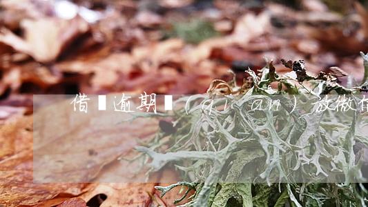借唄逾期錢(qián)放微信