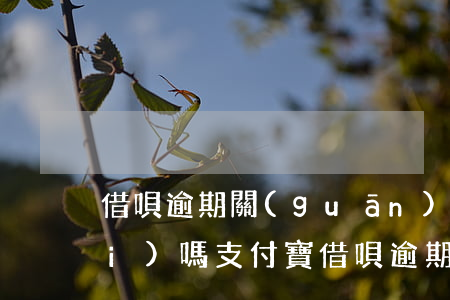 借唄逾期關(guān)閉后還能開(kāi)嗎(支付寶借唄逾期被關(guān)閉 還上可以開(kāi)通嗎)