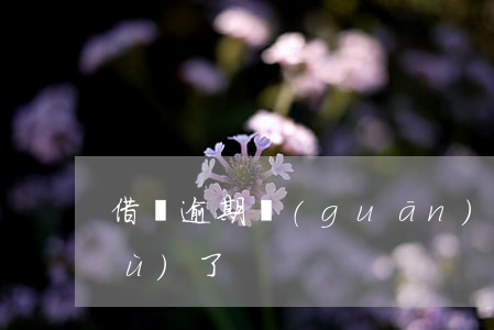 借唄逾期關(guān)閉幾天就恢復(fù)了