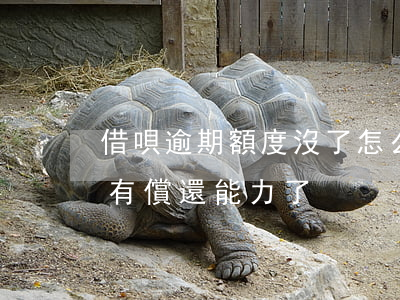 借唄逾期額度沒了怎么辦(借唄逾期怎么辦 沒有償還能力了)