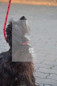 借唄過了中午12點(diǎn)算逾期
