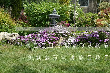 借唄選擇分期后可以提前還款嗎-借唄選擇分期后可以提前還款嗎安全嗎