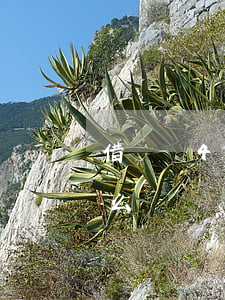 借唄還40分鐘算逾期嗎(借唄逾期35天怎么辦)