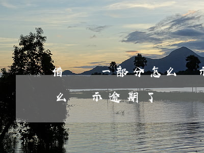 借唄還一部分怎么顯示逾期(借唄還一部分怎么顯示逾期了)
