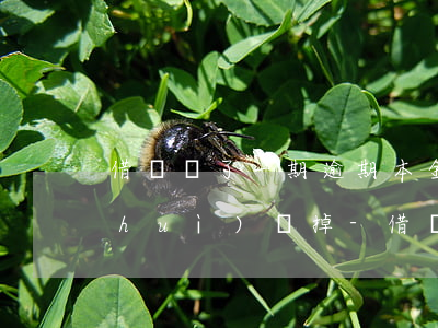 借唄還了一期逾期本金會(huì)不會(huì)減掉-借唄還了一期逾期本金會(huì)不會(huì)減掉利息
