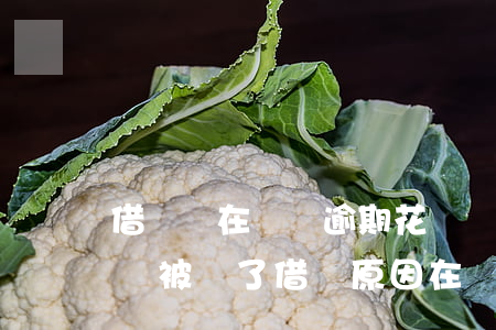 借唄還在還無逾期花唄關了(支付寶從未逾期,卻被關了借唄?原因在這)