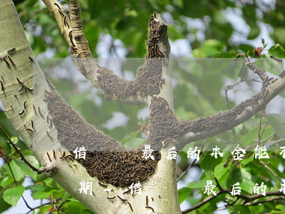 借唄還最后的本金能不能協(xié)商分期-借唄還最后的本金能不能協(xié)商分期還款