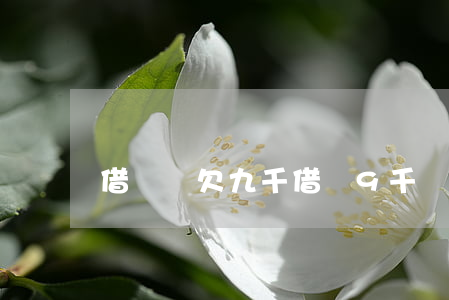 借唄還欠九千(借唄9千還不起了什么后果)