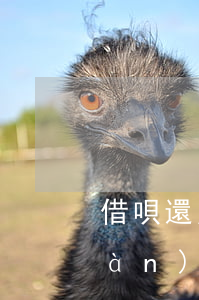 借唄還欠五萬(wàn)多(借唄欠五萬(wàn)該怎么辦)