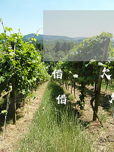 借唄還欠款沒有逾期突然關(guān)閉(借唄還欠款沒有逾期突然關(guān)閉)