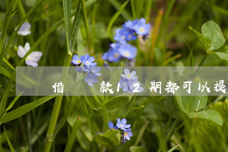 借唄還款12期都可以提前還嗎-