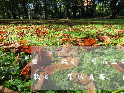 借唄還款6萬可以直接從卡里扣嘛-借唄還款6萬可以直接從卡里扣嘛