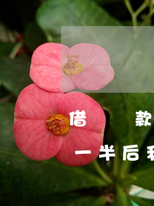 借唄還款一半后利息按全款算嗎-借唄還款一半后利息按全款算嗎?
