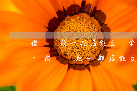 借唄還款一期后能立馬拿出來(lái)嗎-借唄還款一期后能立馬拿出來(lái)嗎安全嗎