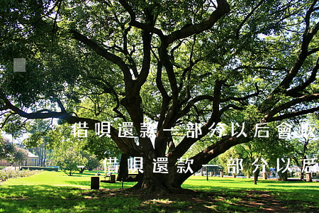 借唄還款一部分以后會恢復(fù)額度嗎-借唄還款一部分以后會恢復(fù)額度嗎