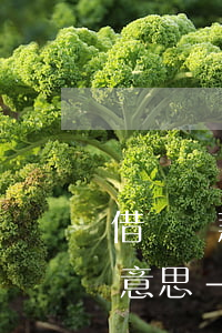 借唄還款不是還當(dāng)天哦是什么意思-借唄還款日當(dāng)天還不上怎么辦