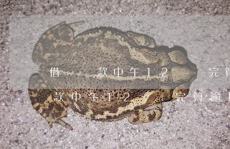 借唄還款中午12點還完算逾期嗎-借唄還款中午12點還完算逾期嗎怎么辦