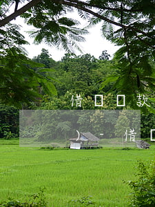借唄還款之后多久征信可以體現(xiàn)-借唄還款之后多久征信可以體現(xiàn)到銀行卡