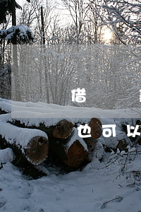 借唄還款也可以在支付助手查看-借唄還款也可以在支付助手查看嗎