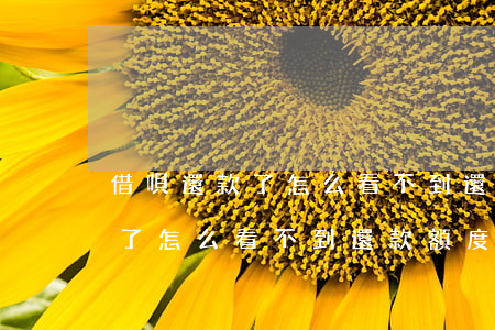 借唄還款了怎么看不到還款額度-借唄還款了怎么看不到還款額度了