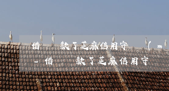 借唄還款了芝麻信用守約沒(méi)更新-借唄還款了芝麻信用守約沒(méi)更新怎么辦