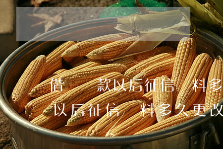 借唄還款以后征信資料多久更改-借唄還款以后征信資料多久更改一次