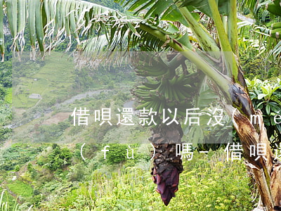 借唄還款以后沒(méi)額度了還能恢復(fù)嗎-借唄還款以后沒(méi)額度了還能恢復(fù)嗎怎么辦