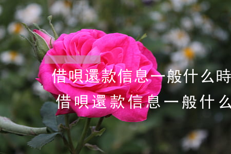 借唄還款信息一般什么時候發(fā)送-借唄還款信息一般什么時候發(fā)送的