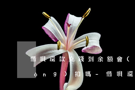 借唄還款充錢到余額會(huì)自動(dòng)扣嗎-借唄還款充錢到余額會(huì)自動(dòng)扣嗎
