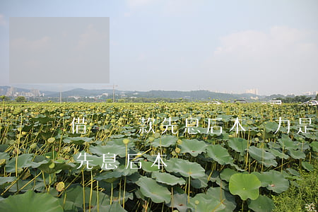 借唄還款先息后本壓力是不是小-借唄還錢先息后本