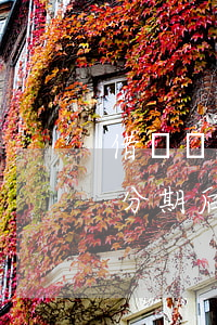 借唄還款分期后可以一次還清嗎-借唄還款分期后可以一次還清嗎