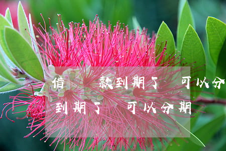 借唄還款到期了還可以分期還嗎-借唄還款到期了還可以分期還嗎