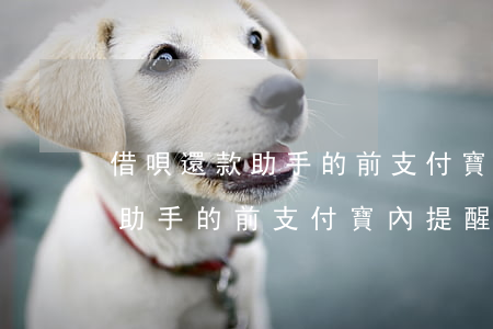 借唄還款助手的前支付寶內提醒-借唄還款助手的前支付寶內提醒是什么