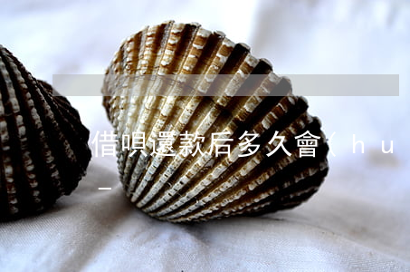 借唄還款后多久會(huì)收到短信通知-