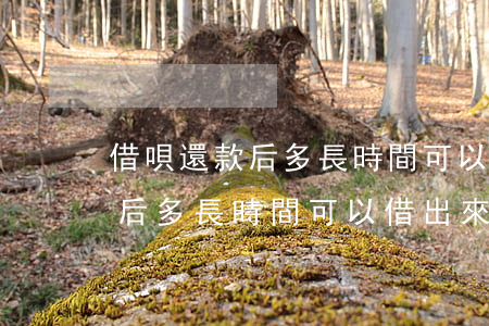 借唄還款后多長時間可以借出來-借唄還款后多長時間可以借出來錢
