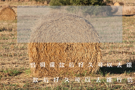借唄還款后好久可以去銀行信用貸-借唄還款后好久可以去銀行信用貸款